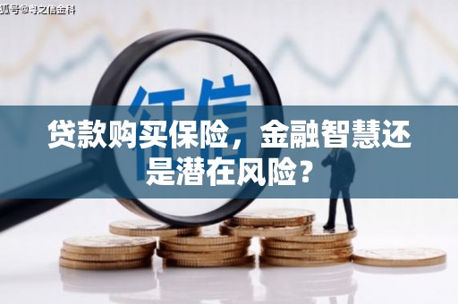 潮安贷款购买保险，金融智慧还是潜在风险？
