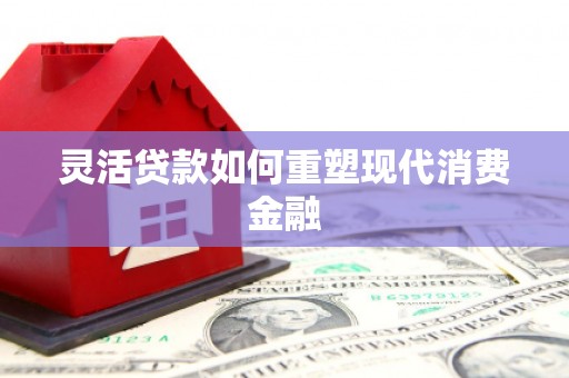 潮安灵活贷款如何重塑现代消费金融