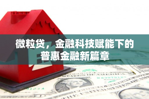 潮安微粒贷，金融科技赋能下的普惠金融新篇章