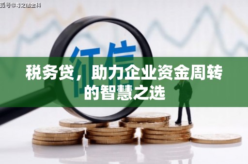潮安税务贷，助力企业资金周转的智慧之选