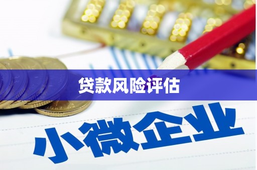 潮安贷款风险评估