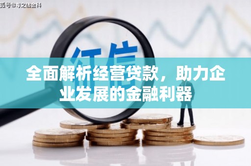 潮安全面解析经营贷款，助力企业发展的金融利器