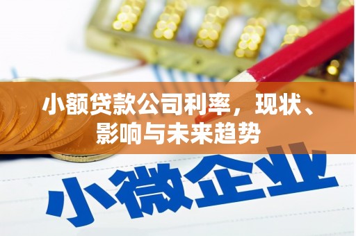 潮安小额贷款公司利率，现状、影响与未来趋势