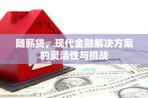 潮安随薪贷，现代金融解决方案的灵活性与挑战