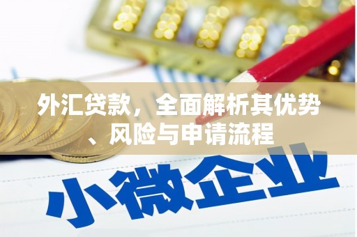 潮安外汇贷款，全面解析其优势、风险与申请流程
