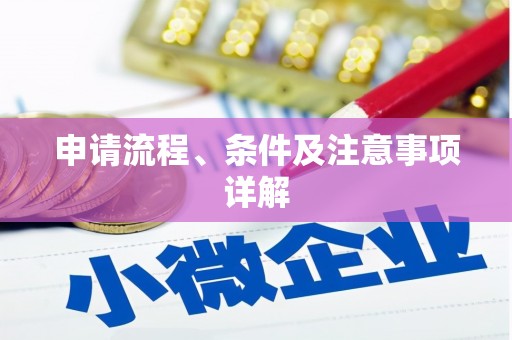潮安申请流程、条件及注意事项详解