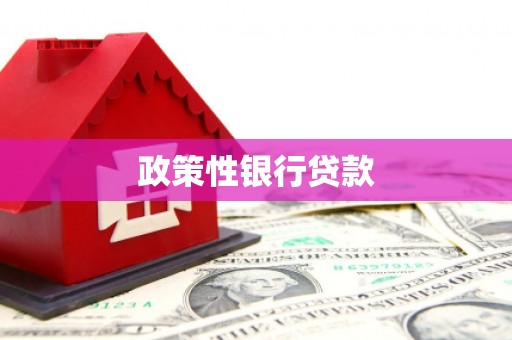 潮安政策性银行贷款