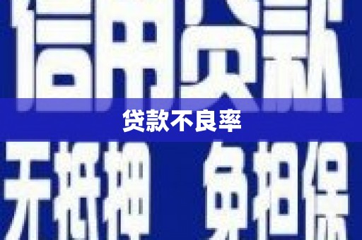 潮安贷款不良率