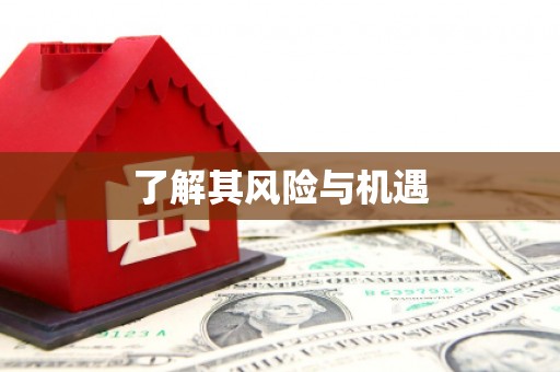 潮安了解其风险与机遇