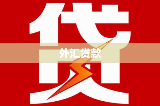 潮安外汇贷款