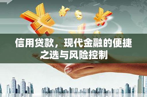 潮安信用贷款，现代金融的便捷之选与风险控制