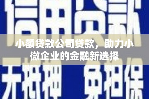 潮安小额贷款公司贷款，助力小微企业的金融新选择