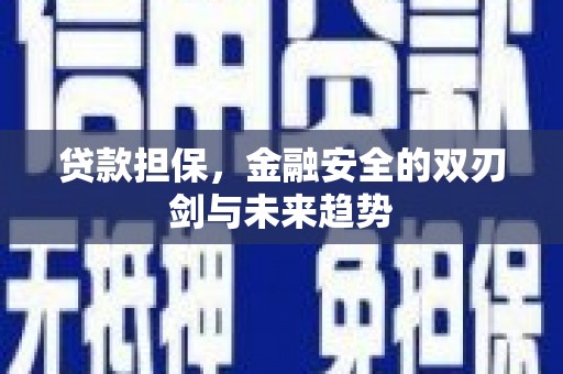 潮安贷款担保，金融安全的双刃剑与未来趋势