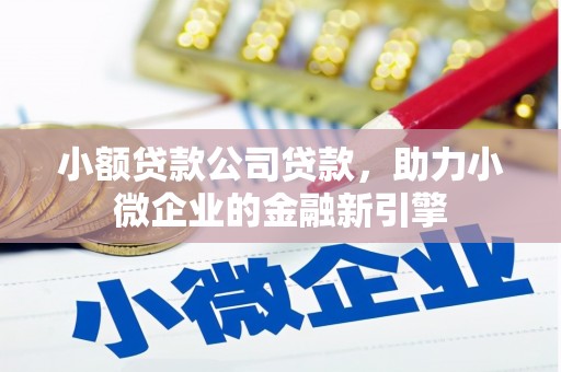 潮安小额贷款公司贷款，助力小微企业的金融新引擎
