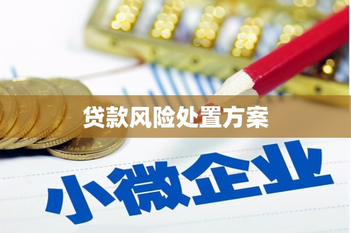 潮安贷款风险处置方案