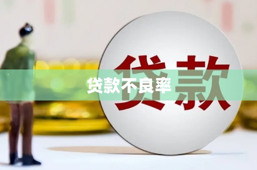 潮安贷款不良率