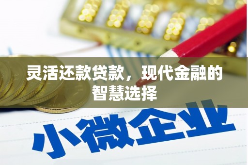 潮安灵活还款贷款，现代金融的智慧选择
