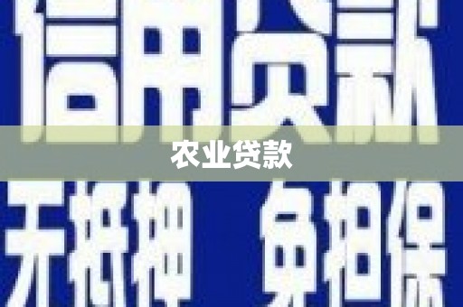 潮安农业贷款