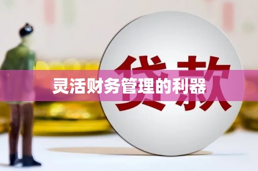 潮安灵活财务管理的利器