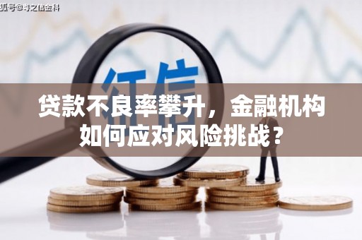 潮安贷款不良率攀升，金融机构如何应对风险挑战？