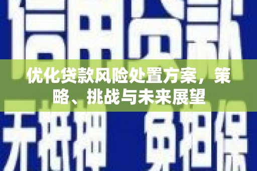 潮安优化贷款风险处置方案，策略、挑战与未来展望