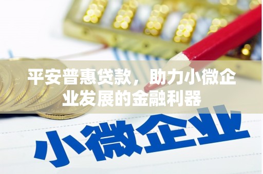 潮安平安普惠贷款，助力小微企业发展的金融利器