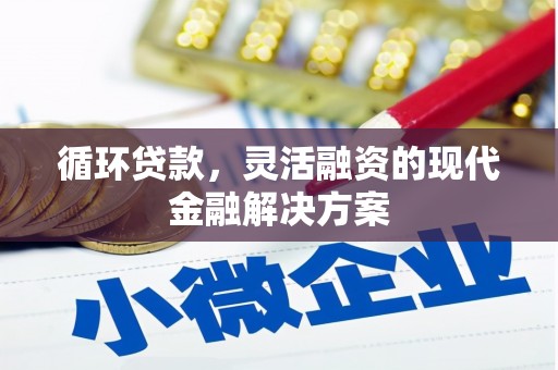 潮安循环贷款，灵活融资的现代金融解决方案