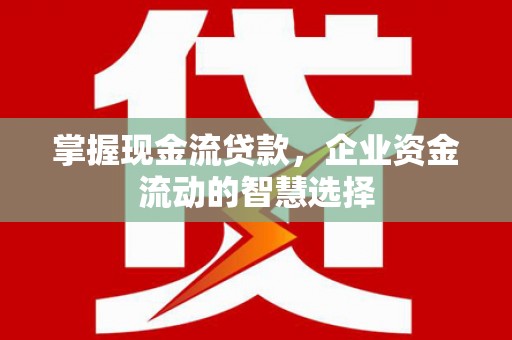 潮安掌握现金流贷款，企业资金流动的智慧选择
