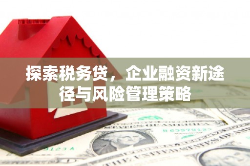 潮安探索税务贷，企业融资新途径与风险管理策略