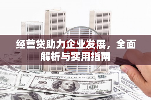 潮安经营贷助力企业发展，全面解析与实用指南