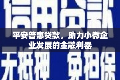 潮安平安普惠贷款，助力小微企业发展的金融利器