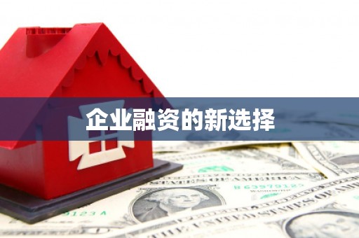 潮安企业融资的新选择