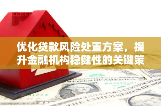 潮安优化贷款风险处置方案，提升金融机构稳健性的关键策略