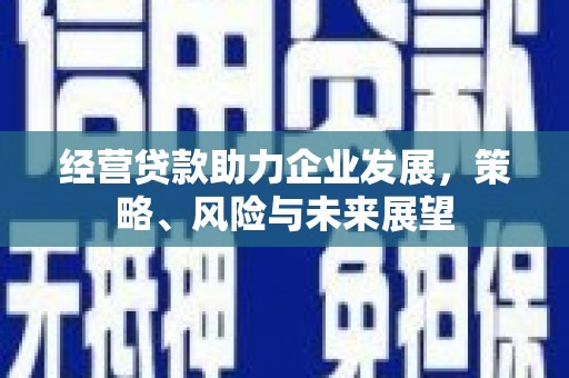 潮安经营贷款助力企业发展，策略、风险与未来展望