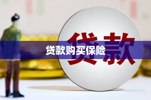 潮安贷款购买保险