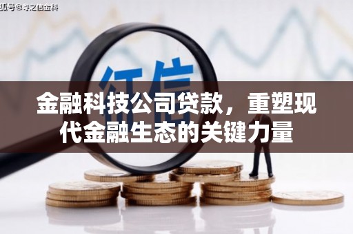 潮安金融科技公司贷款，重塑现代金融生态的关键力量