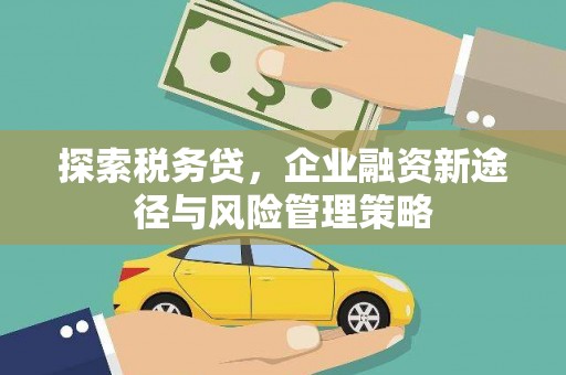 潮安探索税务贷，企业融资新途径与风险管理策略