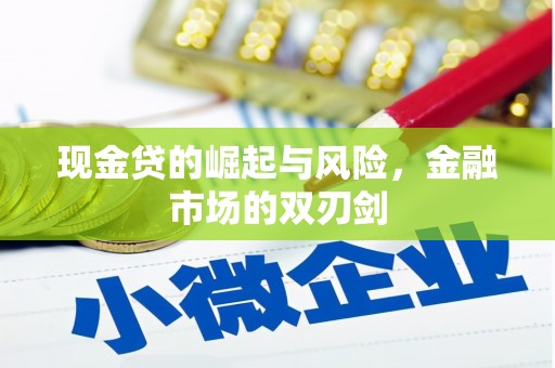 潮安现金贷的崛起与风险，金融市场的双刃剑