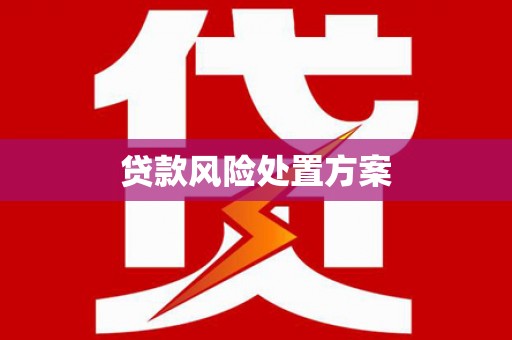 潮安贷款风险处置方案