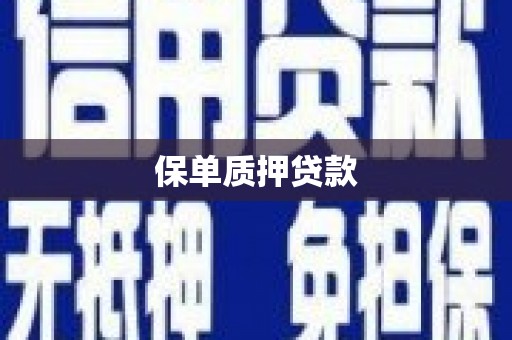 潮安保单质押贷款
