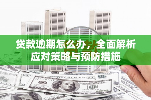 潮安贷款逾期怎么办，全面解析应对策略与预防措施