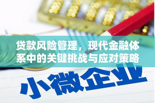潮安贷款风险管理，现代金融体系中的关键挑战与应对策略