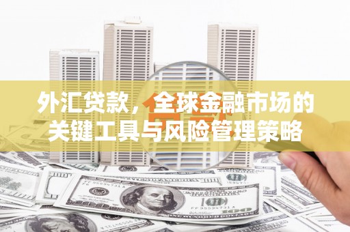 潮安外汇贷款，全球金融市场的关键工具与风险管理策略