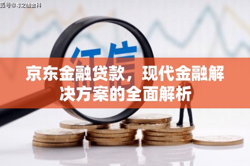潮安京东金融贷款，现代金融解决方案的全面解析
