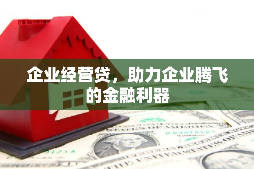 潮安企业经营贷，助力企业腾飞的金融利器