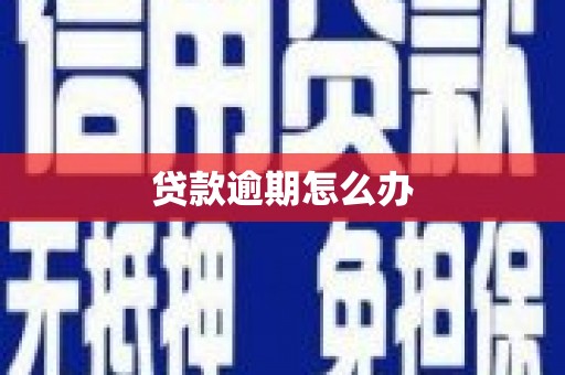 潮安贷款逾期怎么办
