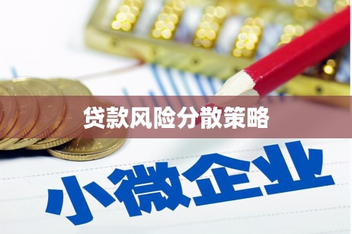 潮安贷款风险分散策略