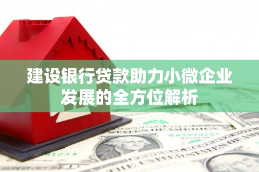 潮安建设银行贷款助力小微企业发展的全方位解析