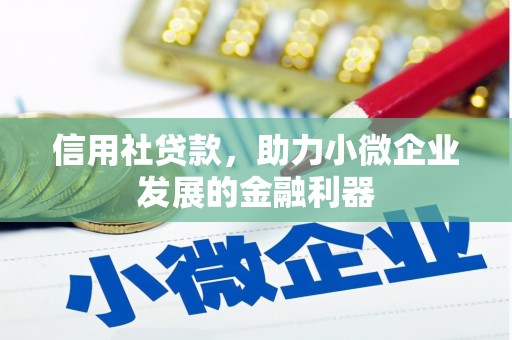 潮安信用社贷款，助力小微企业发展的金融利器