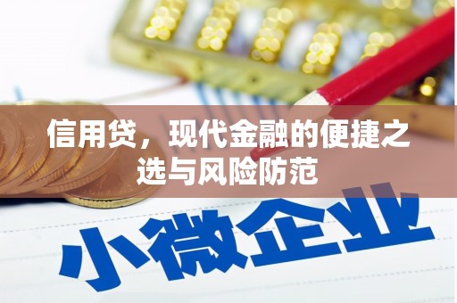潮安信用贷，现代金融的便捷之选与风险防范